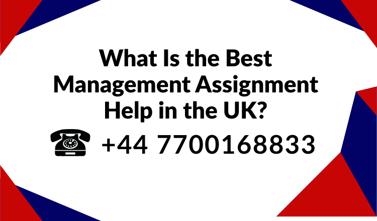 What Is the Best Management Assignment Help in the UK?